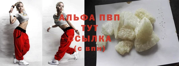дживик Абаза
