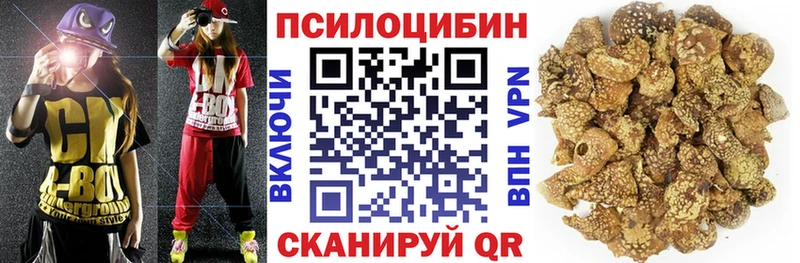 ОМГ ОМГ зеркало  продажа наркотиков  Лысково  Галлюциногенные грибы Psilocybine cubensis 